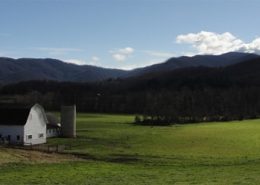 white-barn