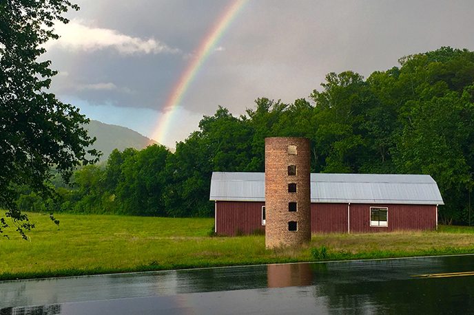 mfa creative writing programs in north carolina